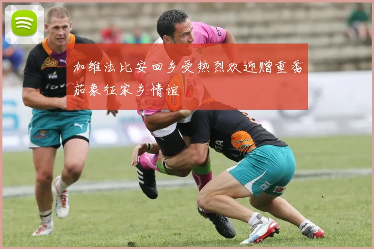 加维法比安回乡受热烈欢迎赠重番茄象征家乡情谊