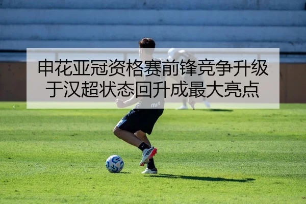 申花亚冠资格赛前锋竞争升级 于汉超状态回升成最大亮点